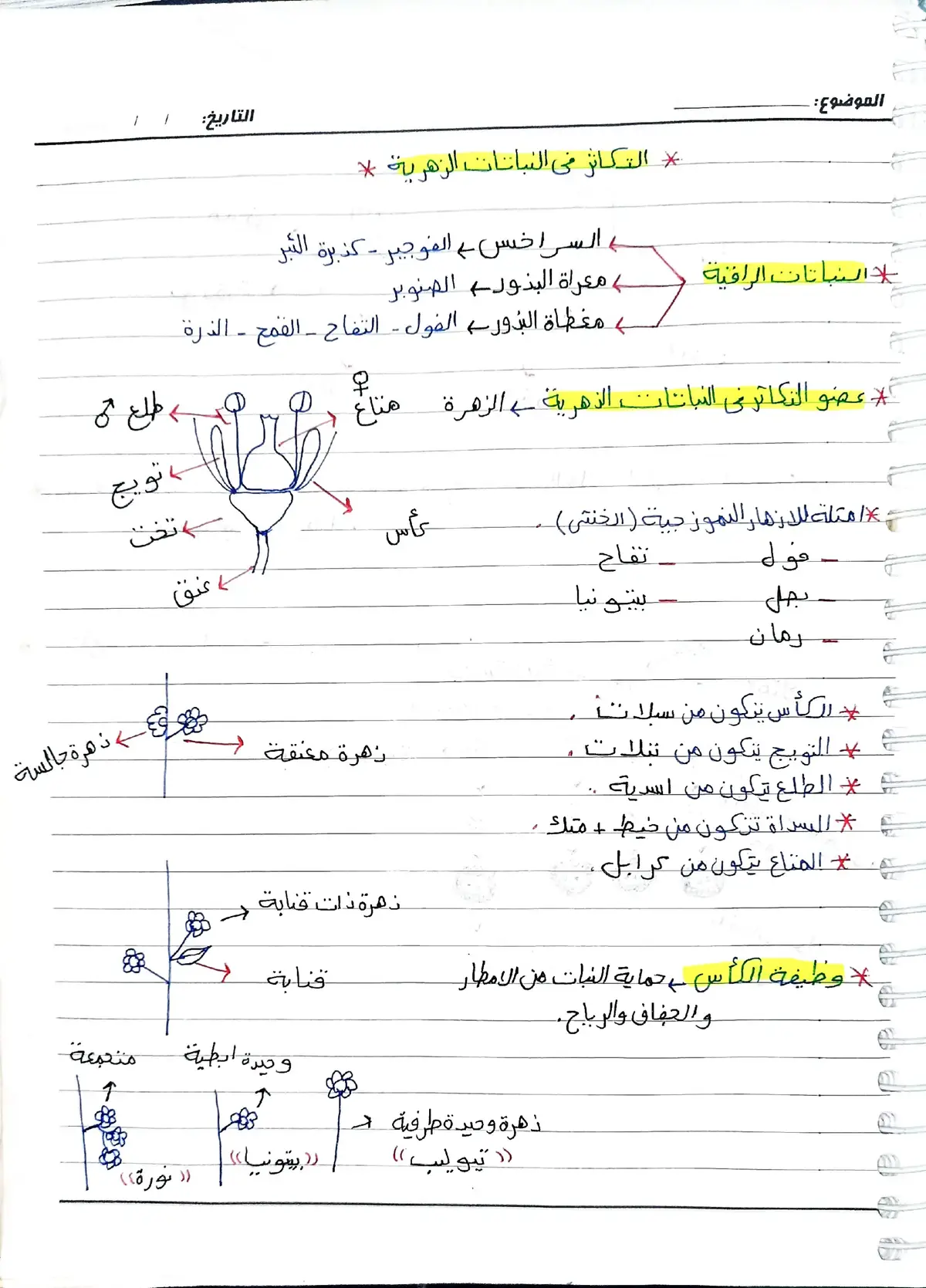 تلخيص فصل التكاثر احياء تالتة ثانوي #تالتة_ثانوي #ثانوية_عامة دفعه 2025