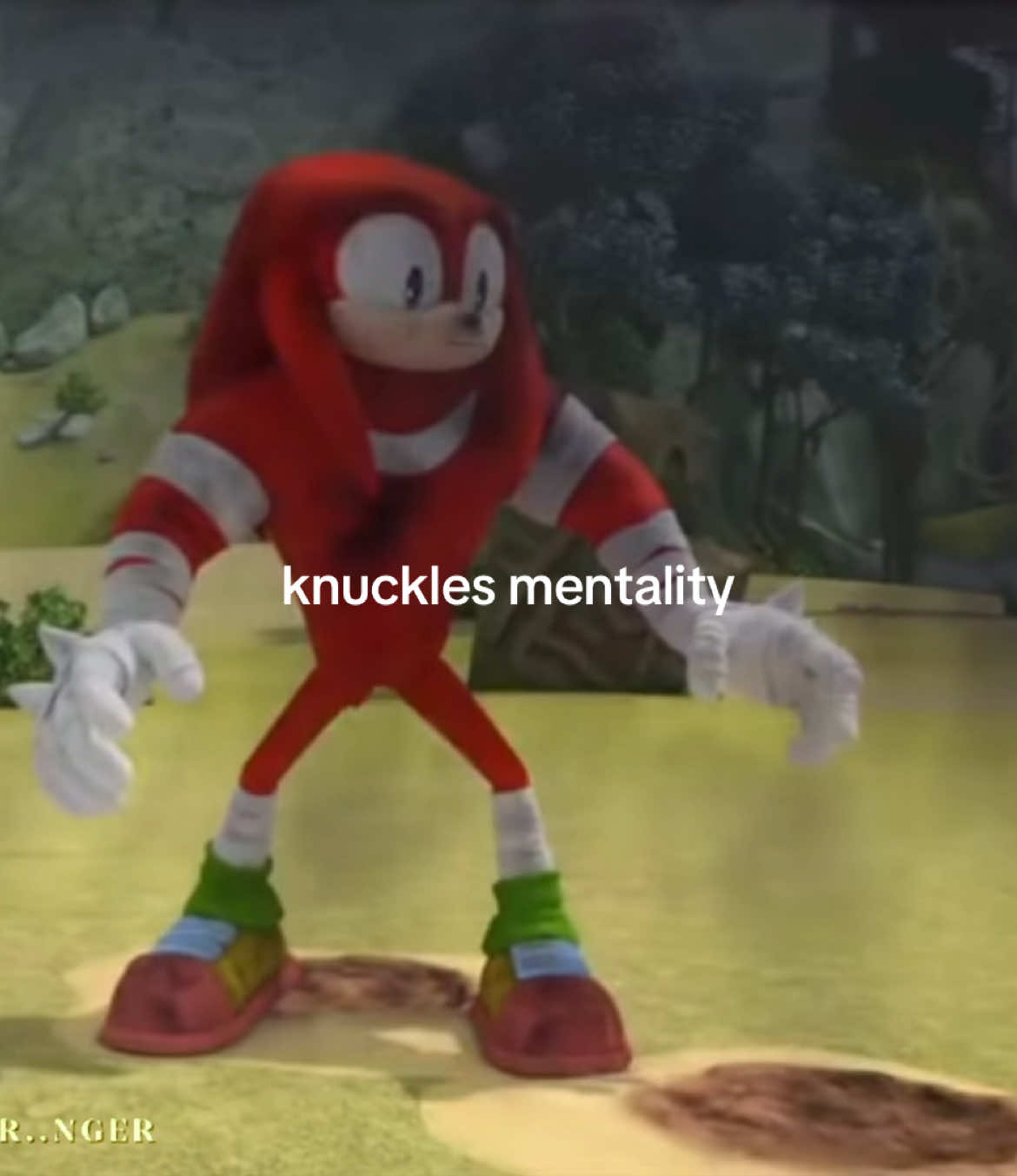 #knucklestheechidna #sonicboom #knucklessonicboom #mentality #sonicboomfunny #edit #foryoupage #foryou #fyp 