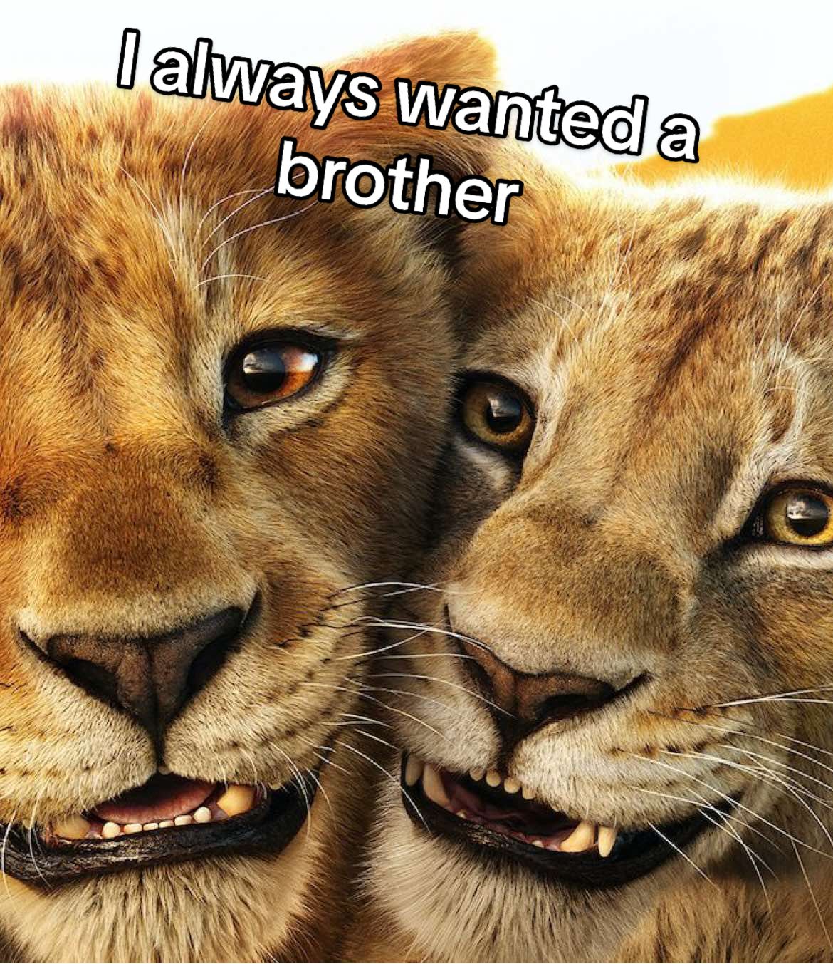 I always wanted a brother 🫂🦁#mufasathelionking #mufasa #taka #scar #thelionking #thelionkingmufasa #lionking #lionkindedit #mufasaedits #disney #movie #song #ialwayswantedabrother #fyp #fypシ゚ 