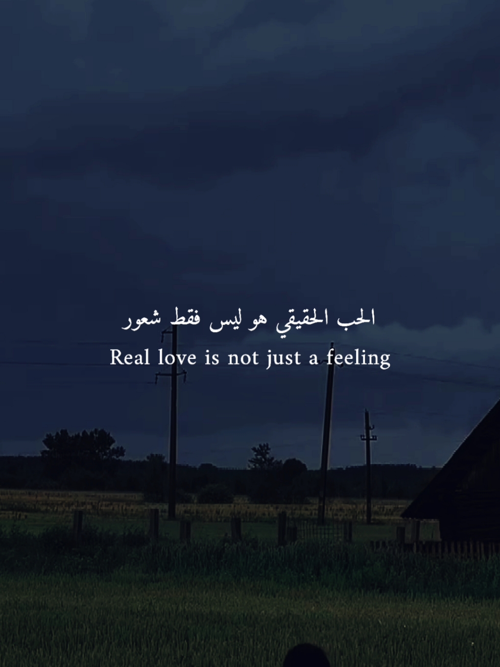 الحب الحقيقي هو ليس فقط شعور .!✨#mj_37o 