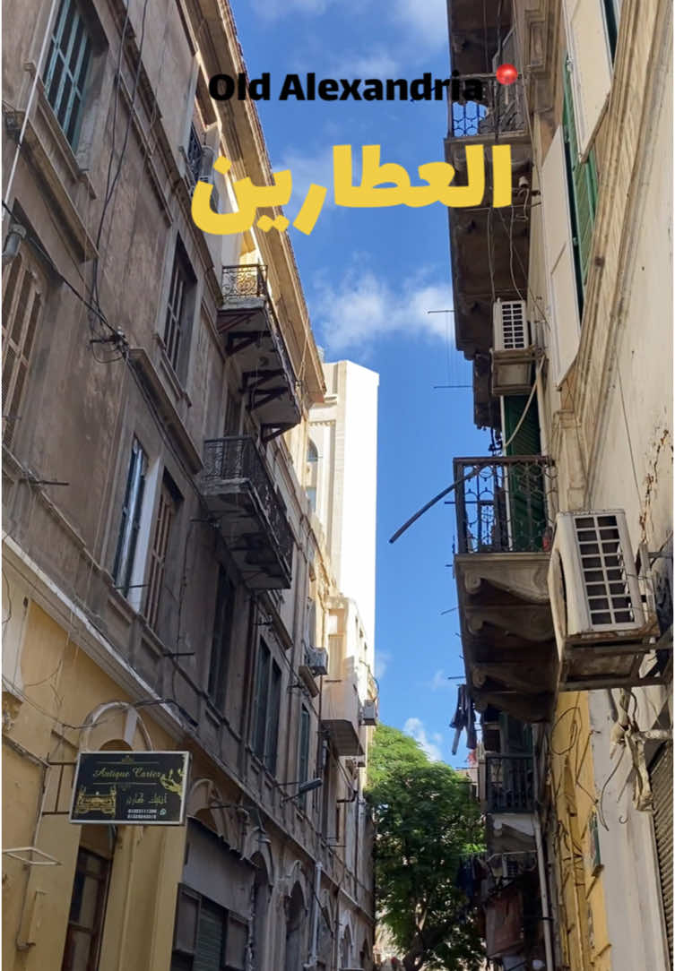 من اقدم و اجمل مناطق اسكندرية 📍🇪🇬❤️ #اسكندريه #قديم #اكسبلور_مباني_اسكندريه_القديمة #مباني #اسكندريه_العشق 