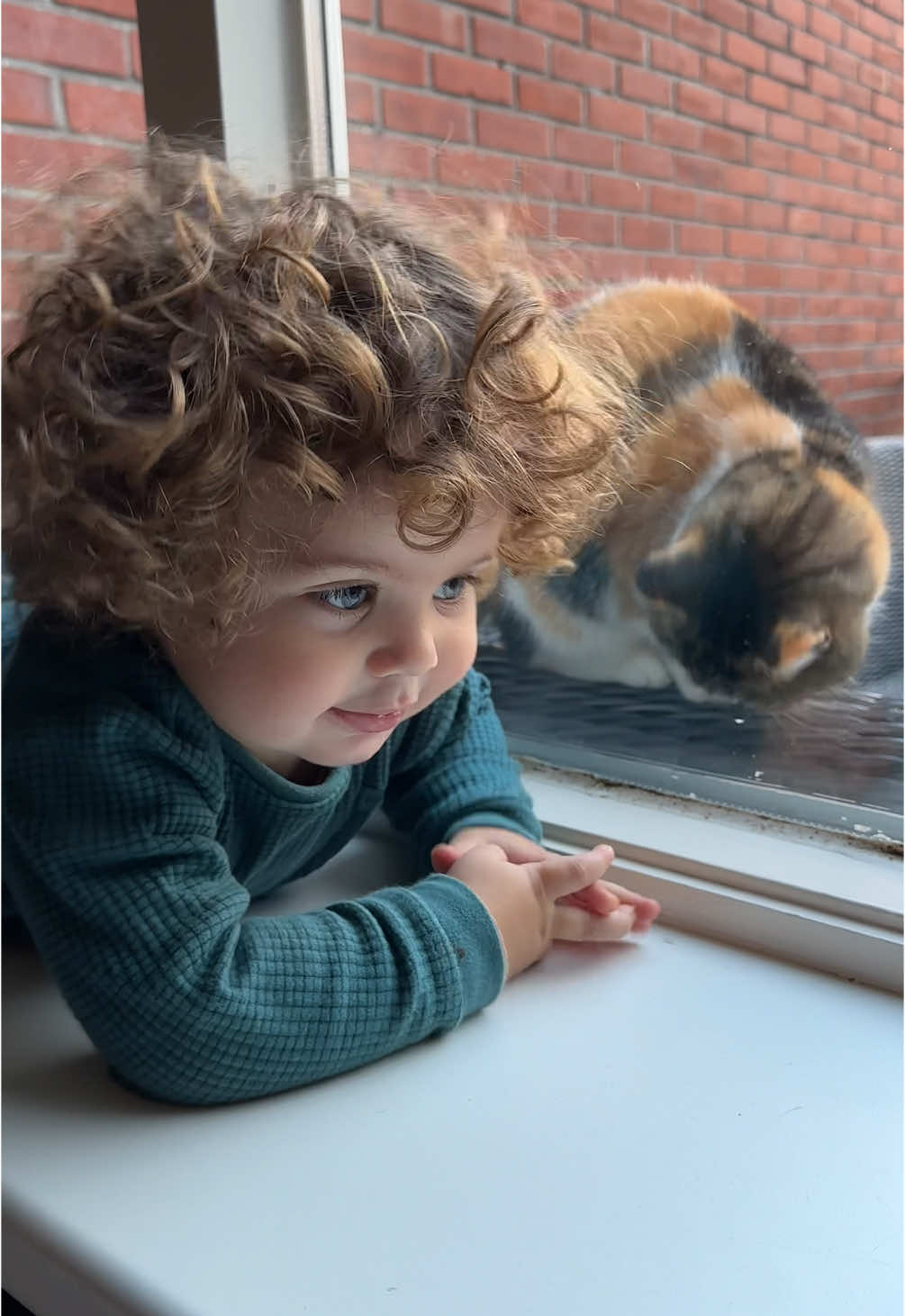 @🇪🇬🦍القناوي🦍🇳🇱 #baby #cat #🤣🤣🤣 #😂😂😂 #🤣 #😂 