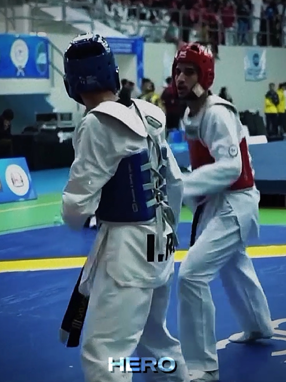 Taekwondo Knockout 💀 #taekwondo #tkd #knockout 