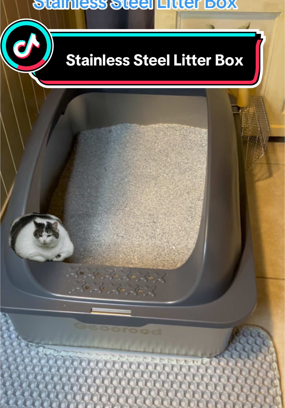 Stainless Steel Litter Box with top, cleaning tool, and mat. Tall sides and innovative design #cat #petcare #catsoftiktok #pet #tiktokshopholidayhaul 