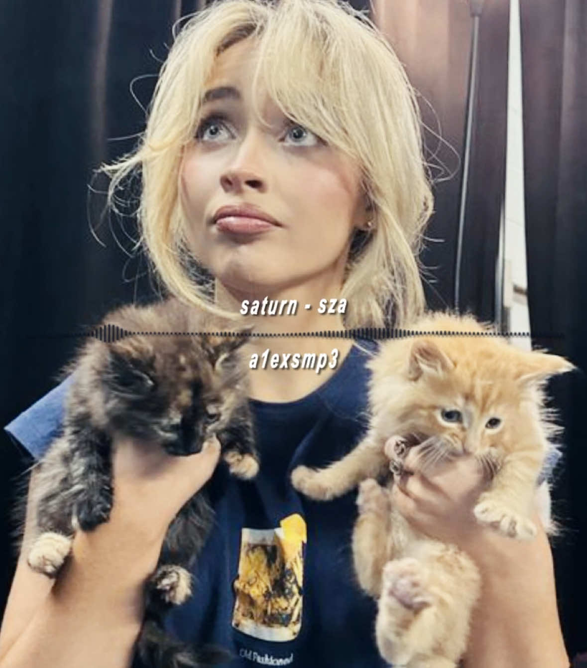 The kittens 😣 | #a1exsmp3 #audiosforedits #editaudio #audioeditss #sabrinacarpenter #sza #foryoupage #foryou #viralvideo #viral #softeditaudio #shipeditaudio #xyzbca 