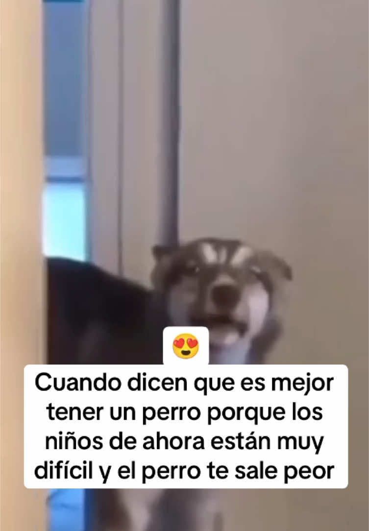 Cuando dice que mejor tener un perro porque los niños de ahora están muy difícil y el perro te sale peor 