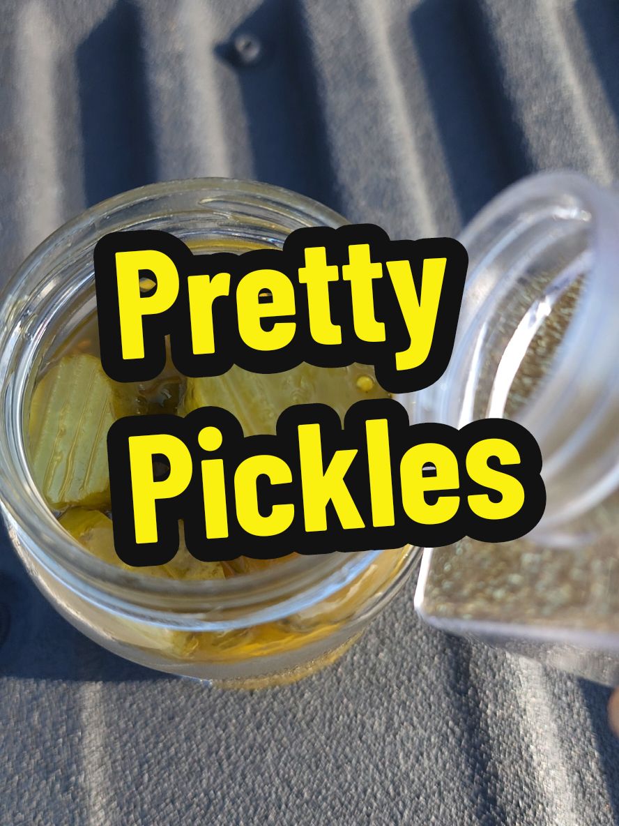 12/22/2024 I present to you my pretty pickles. #prettypickies @Minecraft 