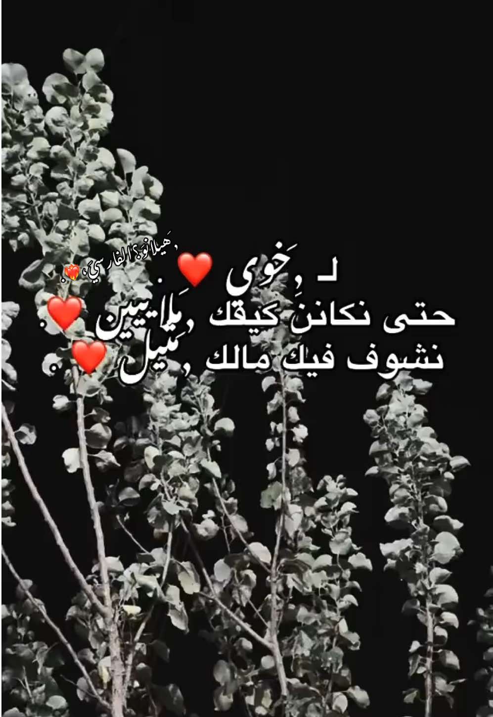 حبيب قلبي ❤️ #بنغازي_ليبيا🇱🇾 