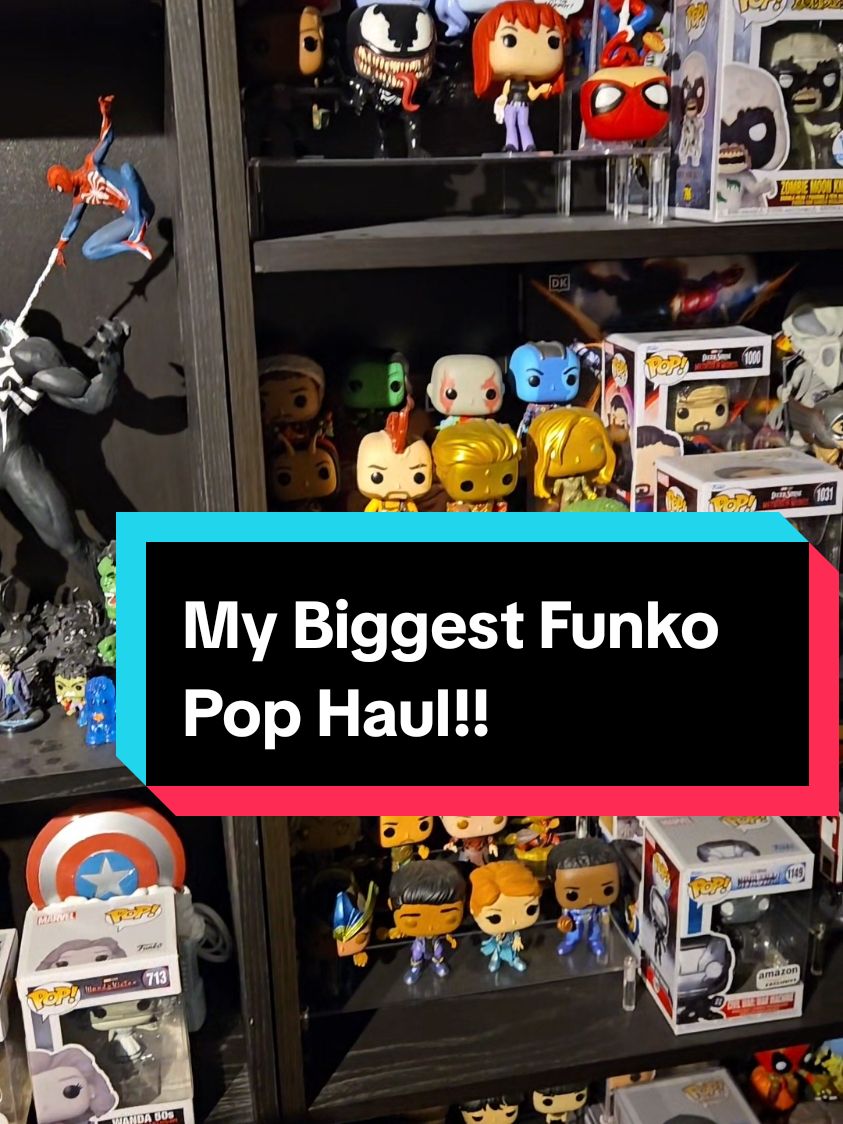 I got a lot more than I thought I did...#funko #funkopop #funkotiktok #funkocollector #collector #collection #fyp 