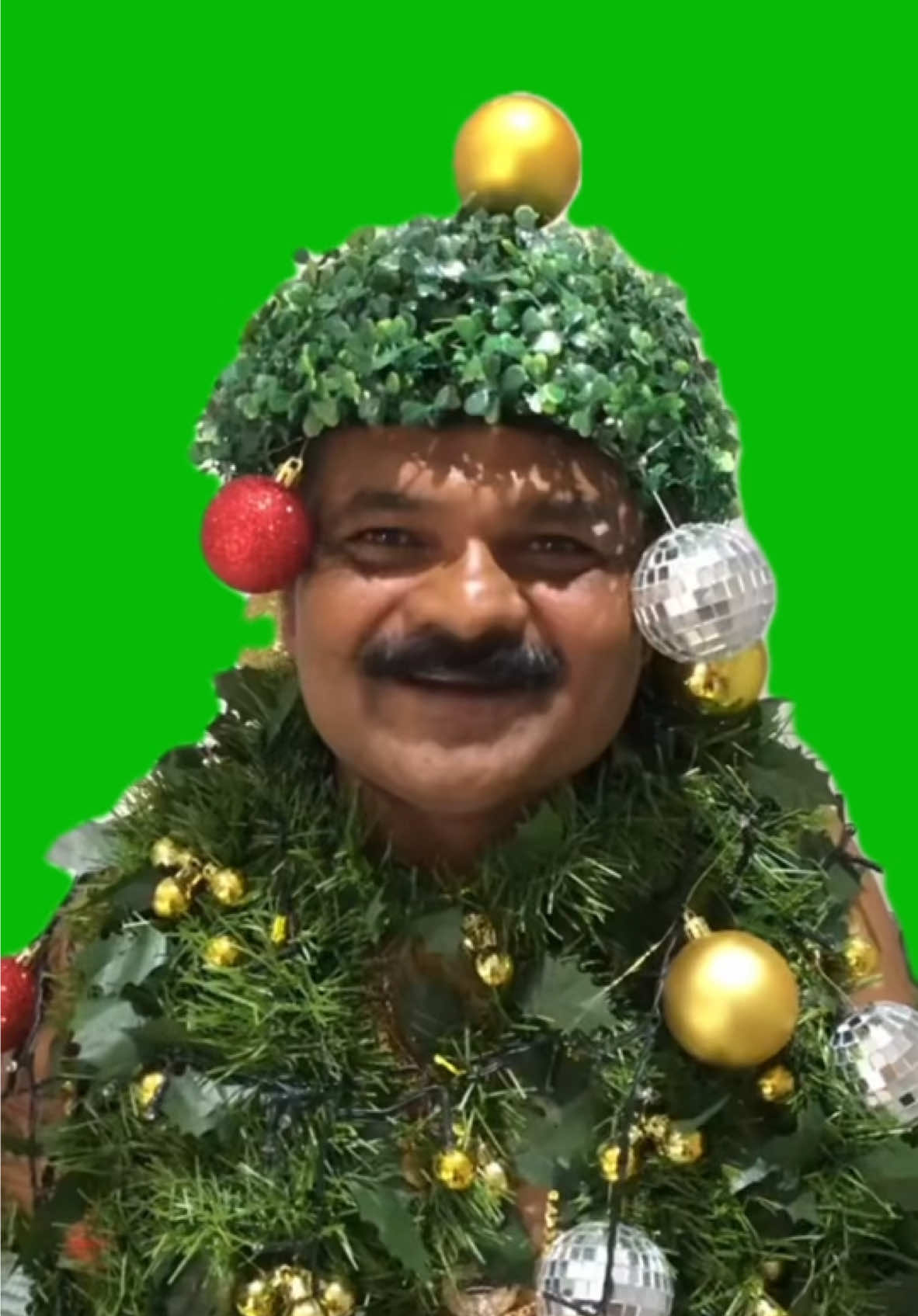 Indian Christmas Song meme green screen capcut template #indian #christmas #funny #meme #CapCut 