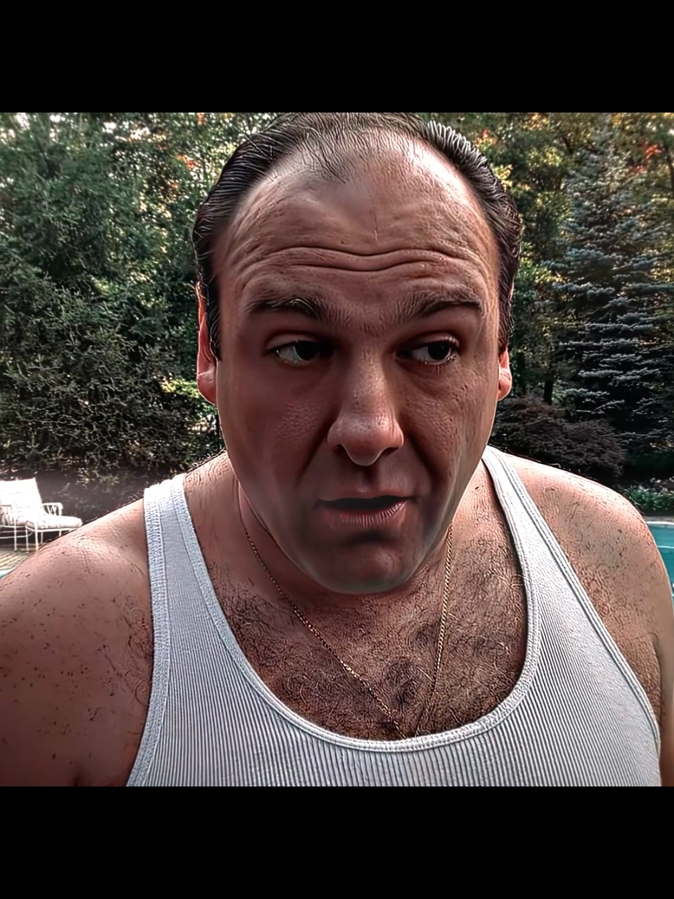 O Poderoso Chefão... #familiasoprano #thesopranos #tonysoprano #mafia #aftereffectsedits #capcut_edit #foryoupag 