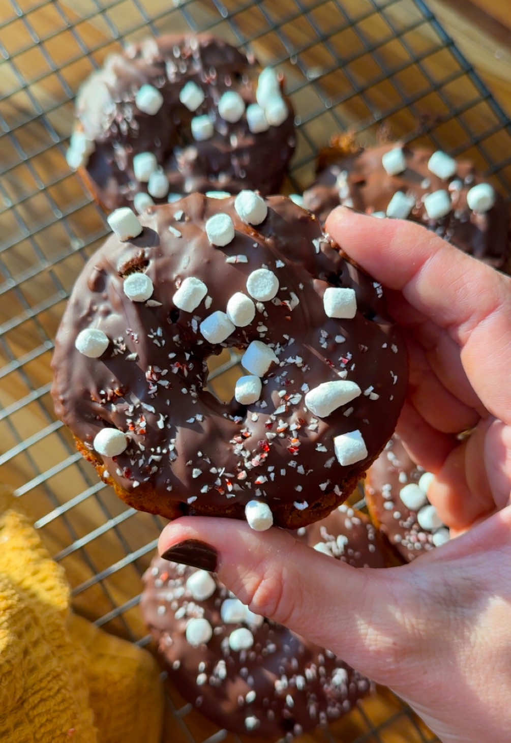 Hot cocoa donuts ✨🎄☕️🍫 👩‍🍳 Ingredients: * 1 egg * * 1/2 cup plain yogurt * 1/4 cup milk of choice * 2 tbsp olive oil or melted butter, can also use melted coconut oil * 1 tsp vanilla extract or powder * 1/2 cup coconut sugar * 1 cup all purpose flour, gluten-free or regular * 1/4 tsp salt * 1 tsp baking powder * Tiny marshmallows * 1/4 cup chocolate chips * Melted chocolate  * Crushed candy cane, optional if you like the taste Full recipe with macros — visit the link in my bio! 