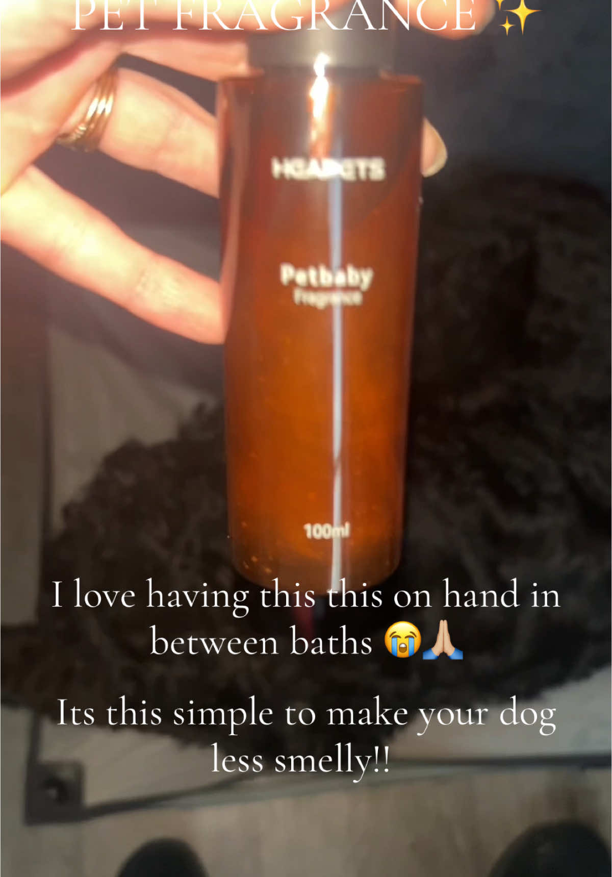 I love how i can fresh up my dog whenever i want 🤩 #heapets #TikTokShop #fyp #heapetsfragancespray #fypシ゚viral #dog #puppy #pet #fypシ #dogsoftiktok #puppiesoftiktok #PetsOfTikTok #furrbaby 