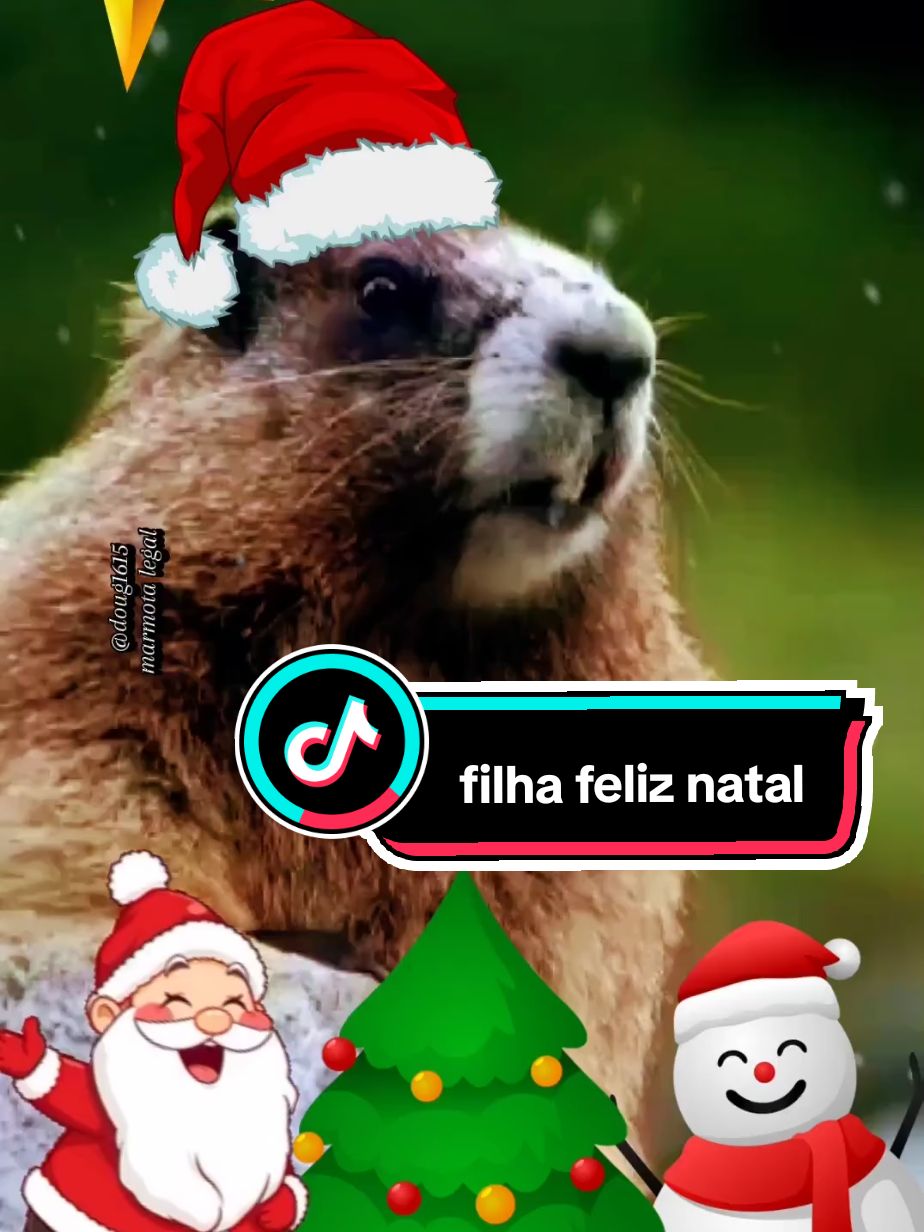 #natal #filha #marmotagritando #marmota #marmotalegal 