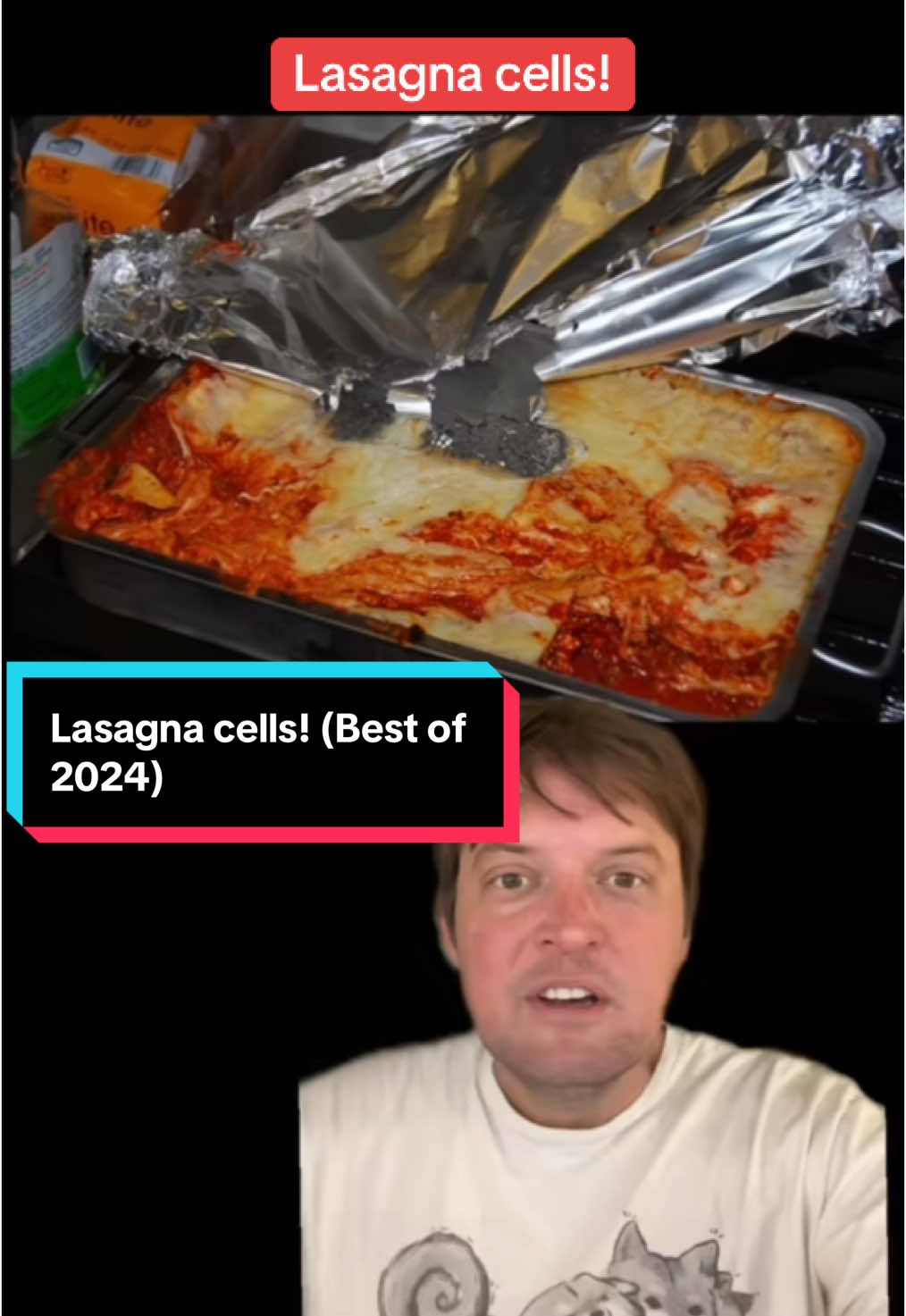 Lasagna cells! (Best of 2024) #learneclecticthings 