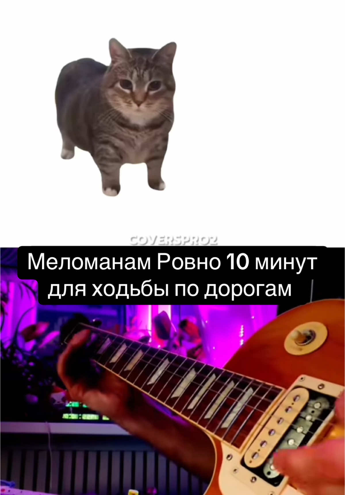 Ответ пользователю @shoot9899 @Covers Pro #mashup #cats #guitarist #zaguitarov #remix #мэшап 