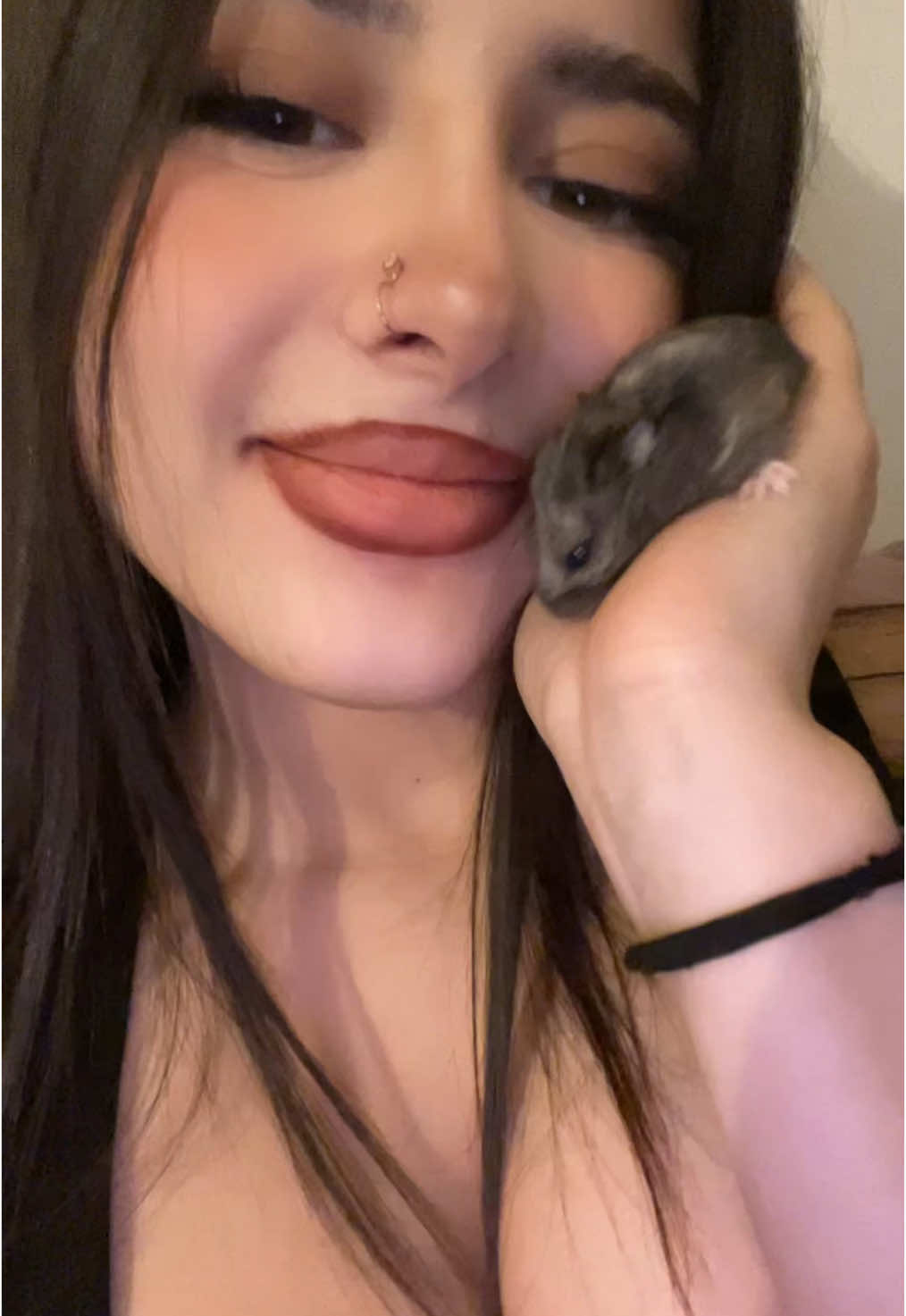 Feat 🐹