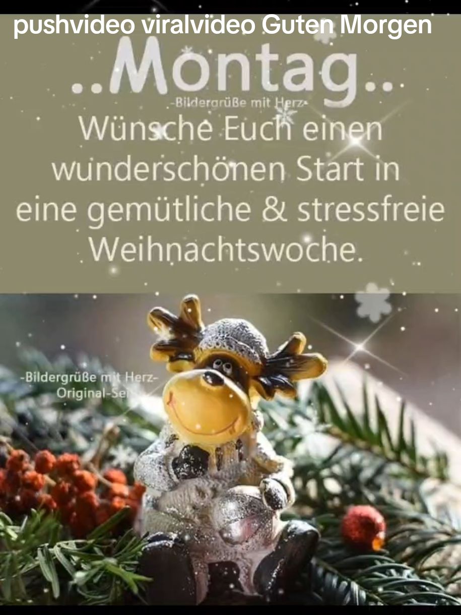 Guten Morgen willkommen in der Weihnachtswoche #CapCut #pushvideo #viralvideotiktok #gutenmorgen #herzenmensch #gemeinsameinsam @Dennis_Roma073 @Elisabeth.Dom🇩🇪,🇵🇱 @lore_lore❣️💋🇨🇱 @JillLb @taliphiluli💖 @❤️Rottie Xena❤️ @🌲🌲🌲🪴🪴💚بيسان 💚🪴🪴🌲🌲🌲 @👑💫💎Brigitte💎💫👑 Noble 👑 