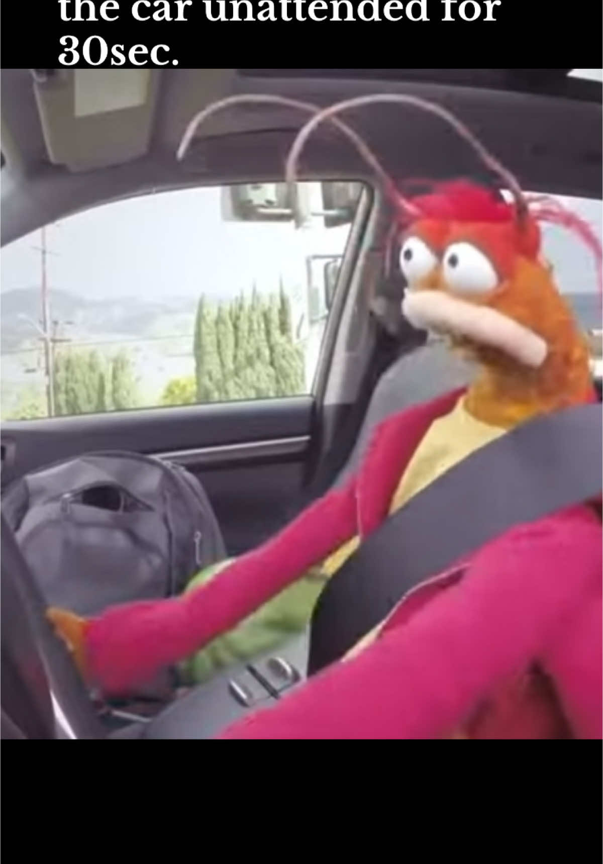 #pepe #pepethekingprawn #themuppets #themuppetshow #themuppetsmovie #themuppetsmayhem #muppets #muppet #fyp #foryoupage #foryourpage #car #kidsoftiktok #kidsbelike #parentsoftiktok #parentingtips #parentinghumor #parents #MomsofTikTok #momlife 