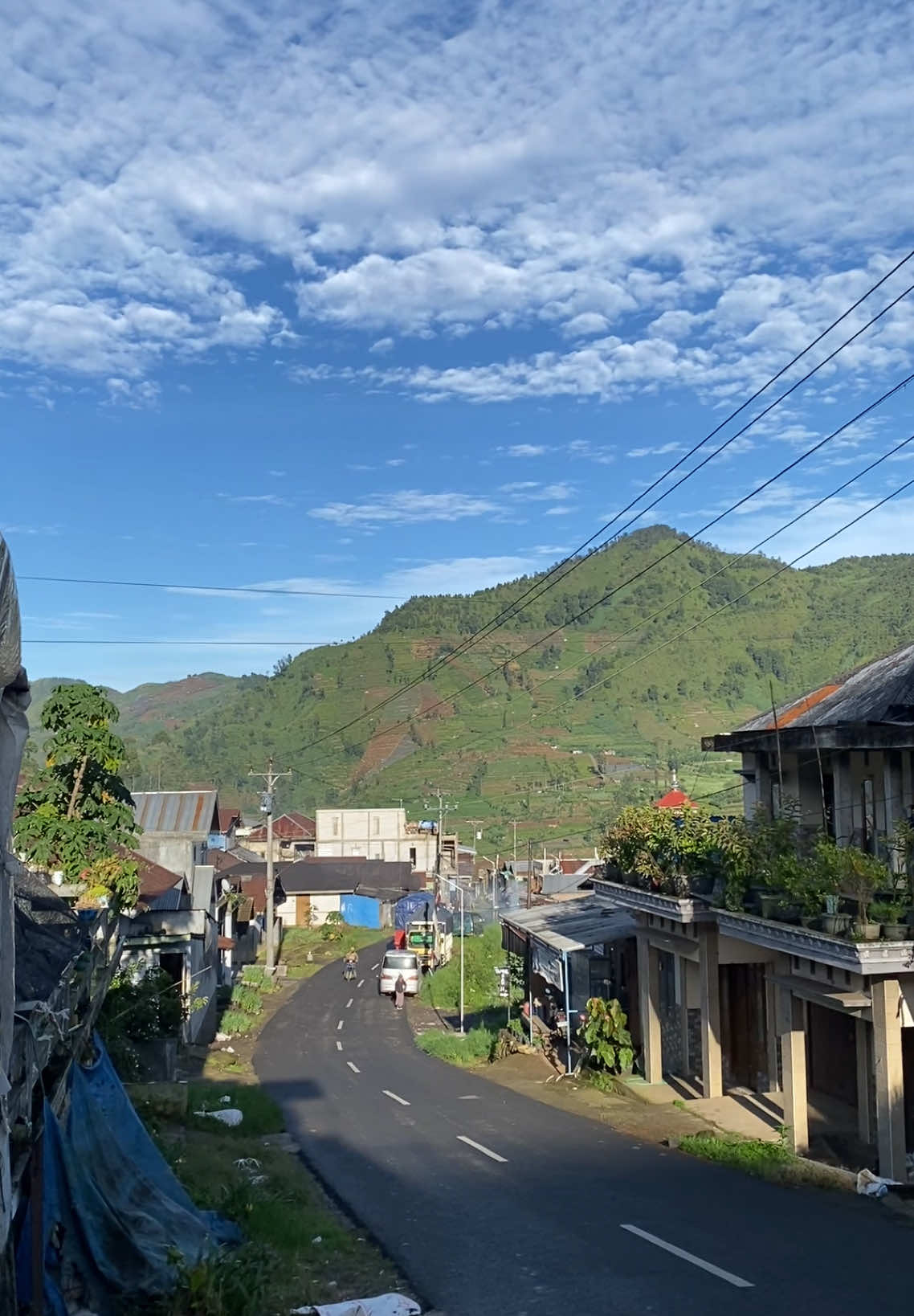 Info Cuaca Dieng hari ini