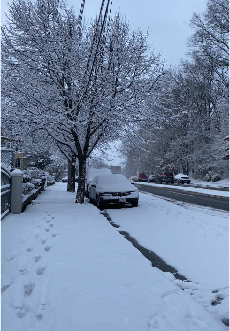 First Snow ❄️ New York.           #nyc #nycliving #nyctiktok #nyclife #nyccentralpark #newyorkcity #manhattan #thebigapple #nycapartment #newyorker #firstsnow #newyork #snow #snowday #snowinnyc #centralpark