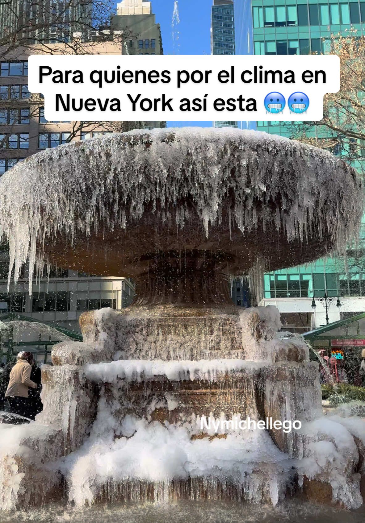 El frío esta fuerte en Nueva York 🥶 #newyork #nuevayork #manhattan #cold #newyorkcity #winter #usa_tiktok 