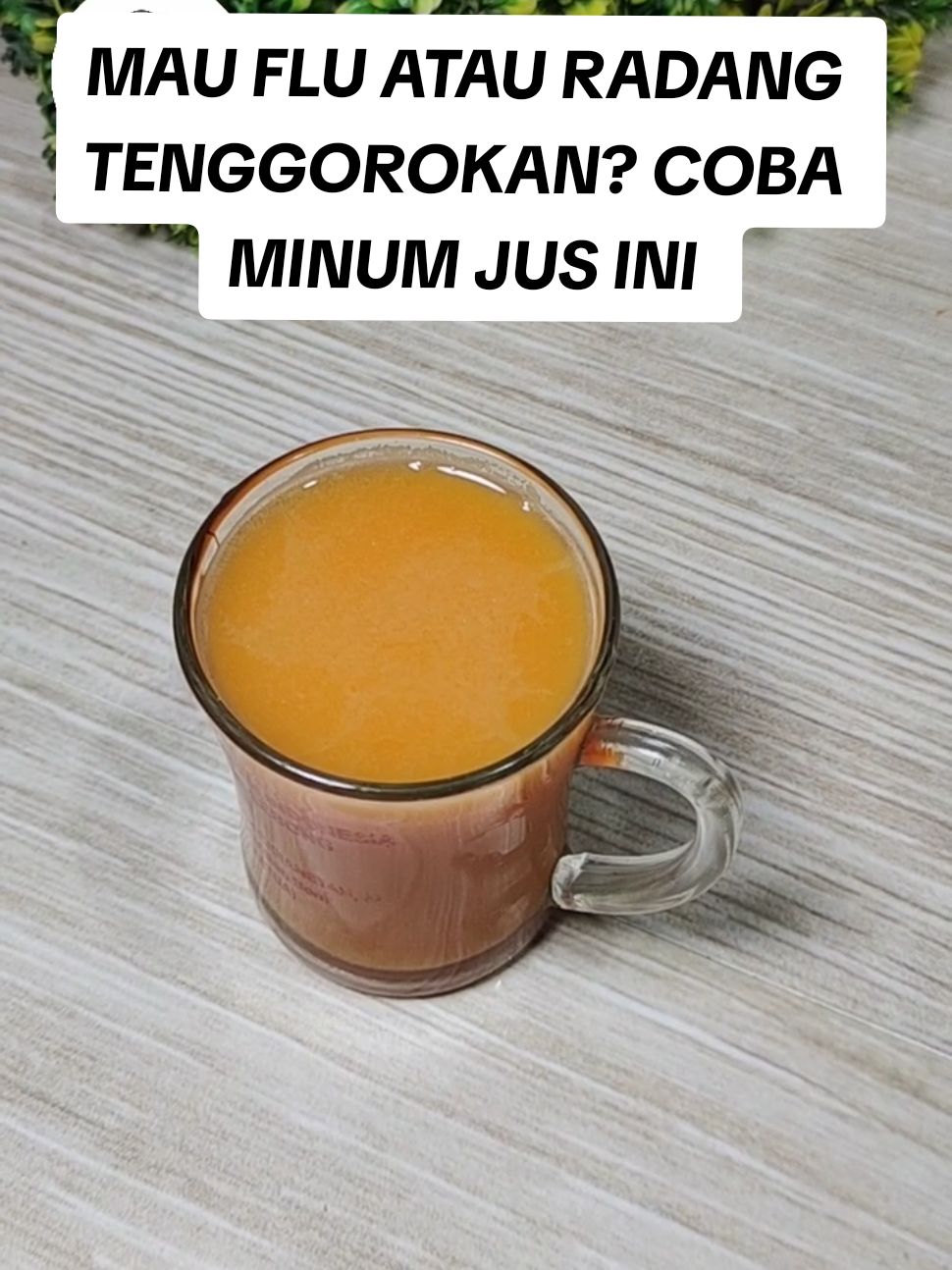 MAU FLU ATAU RADANG TENGGOROKAN? COBA MINUM JUS INI... awalnya mau flu dan radang tenggorokan, tapi gara-gara minum jus ini malah jadi sembuh. Jadi jusnya ini terbuat dari nanas, wortel, tomat lalu ada lemon dan jahe merah. wortel dan tomat kayak vitamin A, nanas dan lemon kaya vitamin C dan sangat cocok utk meredakan radang. Jahe selain memberikan sensasi hangat juga berfungsi sebagai anti infalamsi. Jujur semenjak ada Mecoo Slow Juicer dari @mecoo.id @Mecoo.id_official  bikin jus benar-benar jadi gampang. Tidak repot-repot lagi menyaring karena ampas dan sari buah langsung terpisah. Mecoo Slow Juicer ini daya listriknya kecil dan tidak berisik. selain itu mudah di cuci atau dibersihkan.  Note :  buat yang punya maag,  nanasnya jangan terlalu banyak. tambahkan juga madu jika perlu.  #mixedjuice #juswortelnanas #jusworteltomat #juswortelnanastomatlemonjahe #dapurprabu #mecookwithmecoo 