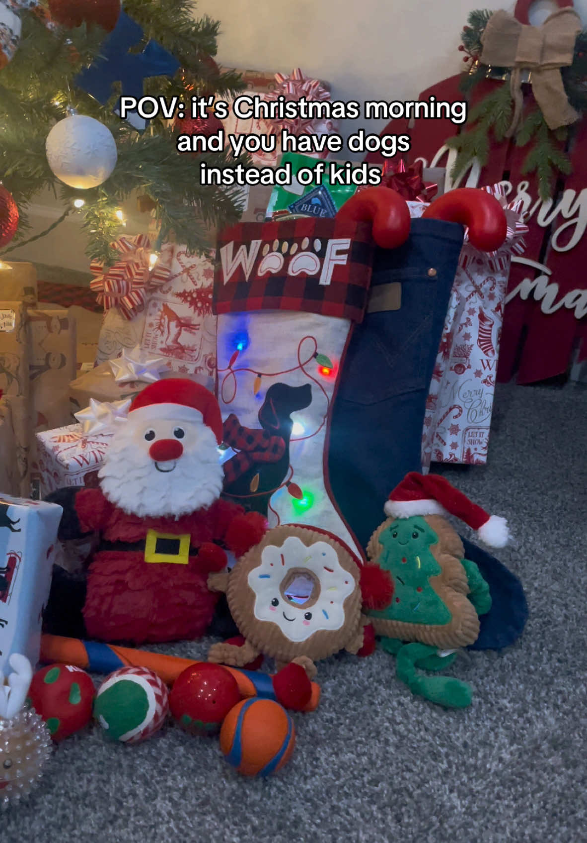 This was last year’s Christmas, but we can’t wait for Santa Paws to come in just 3 days 🥹🎅🏼🎄  #fyp #christmas #christmasdog #dogs #dogsoftiktok #blacklab #dogmom #santapaws #christmascountdown #christmasgift #doggo 