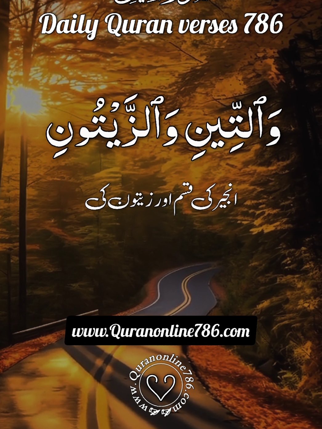 القرآن الکریم 🌹🌹❤ #quran #quranicquotes #islamicreminders #islamicreelsvideo #growmyaccount  #quran #islamicquotes #quran #foryou #longervideos  #quran_kareem #quranrecitation #islamicreminder #quranonline786 