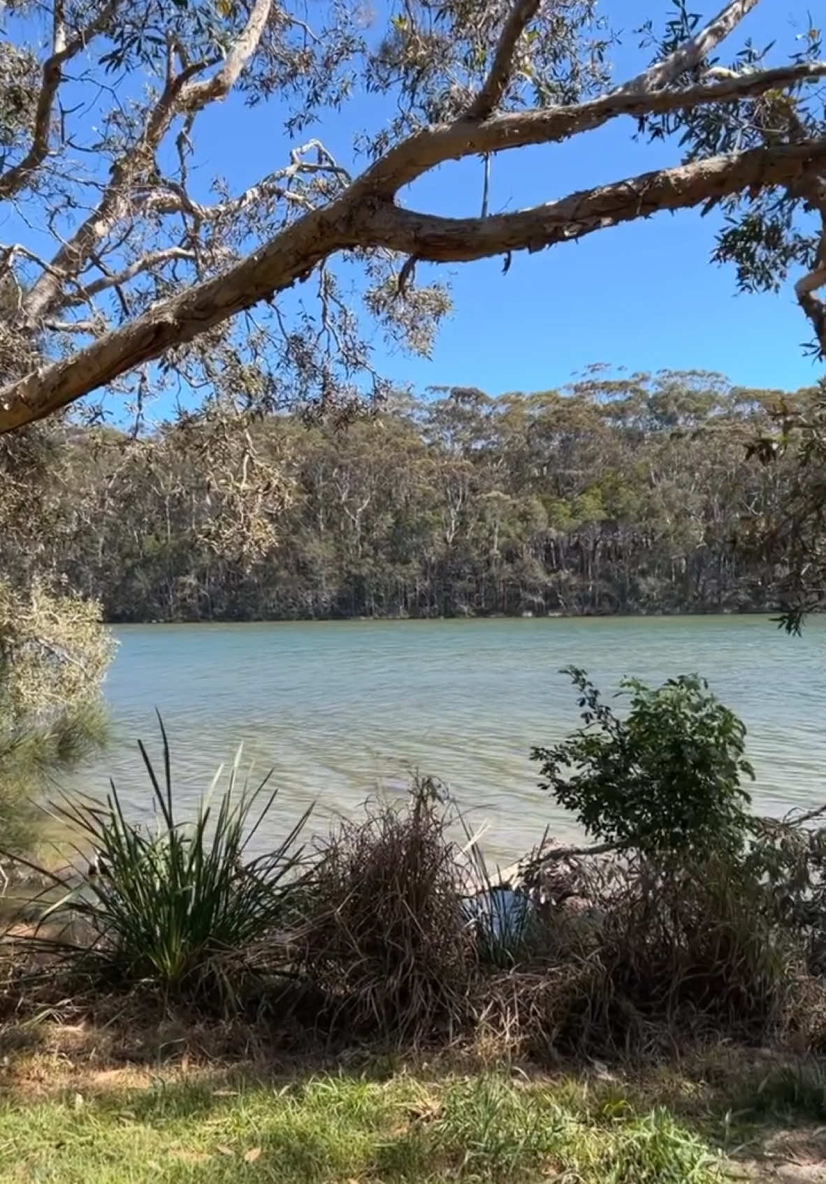 Not a bad fishing spot!! #fishing #australia #travel 