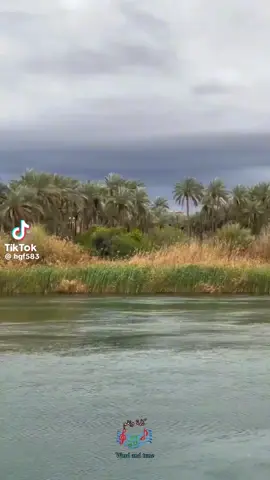 #نصائح #مشاهير_تيك_توك #الشعب_الصيني_ماله_حل😂😂 