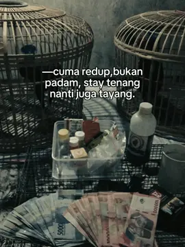 menang kita pulang,kalah kita seting ulang🔥 #storyayambangkok  #ayambangkok #fypシ #viral  #pakhoy  #mangon 