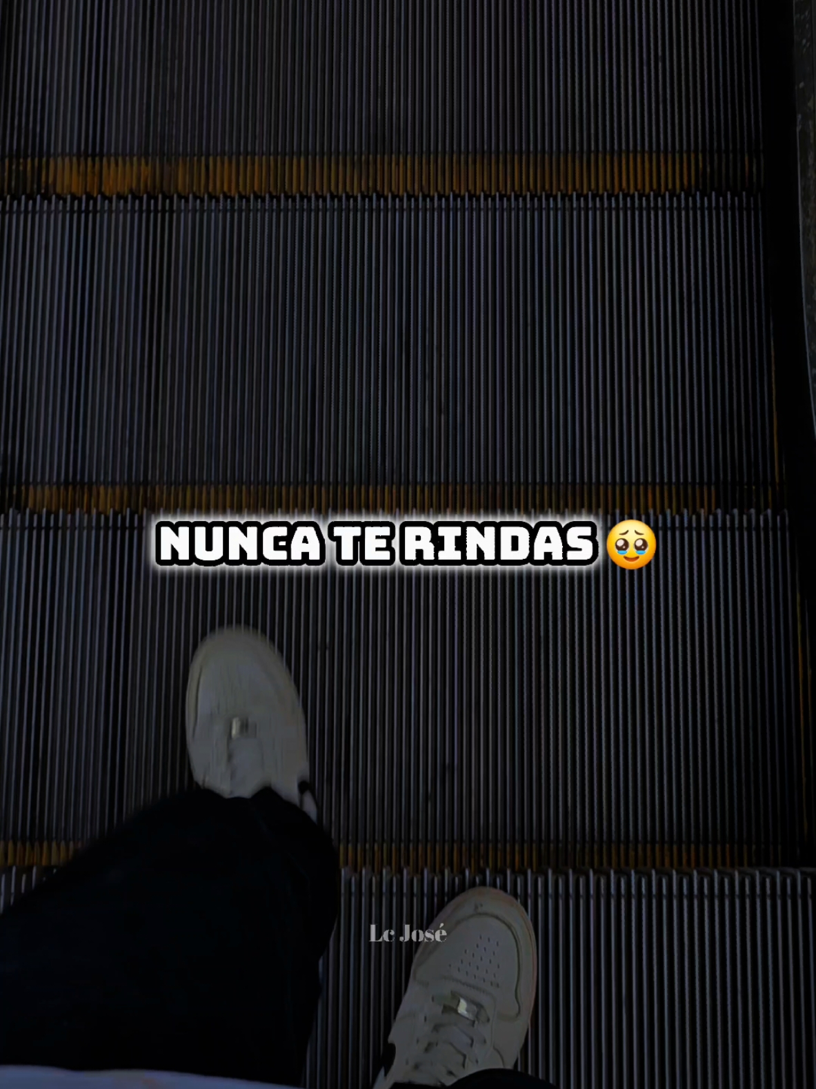 Nunca te rindas 🥹 #fypシ #parati #Viral #frases #2024 #lcjose #YoSoyCreador #duo #reflexion #MLBB #MobileLegendsBangBang #MLBBCreatorBase 