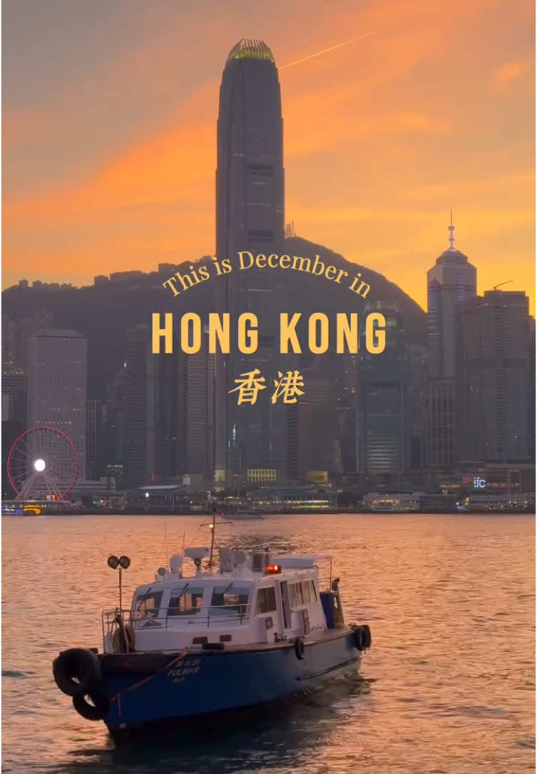 🎄Hong Kong lung linh trong ánh đèn Giáng sinh ✨✨ #moontravel #christmas #hongkong #dulichhongkong 