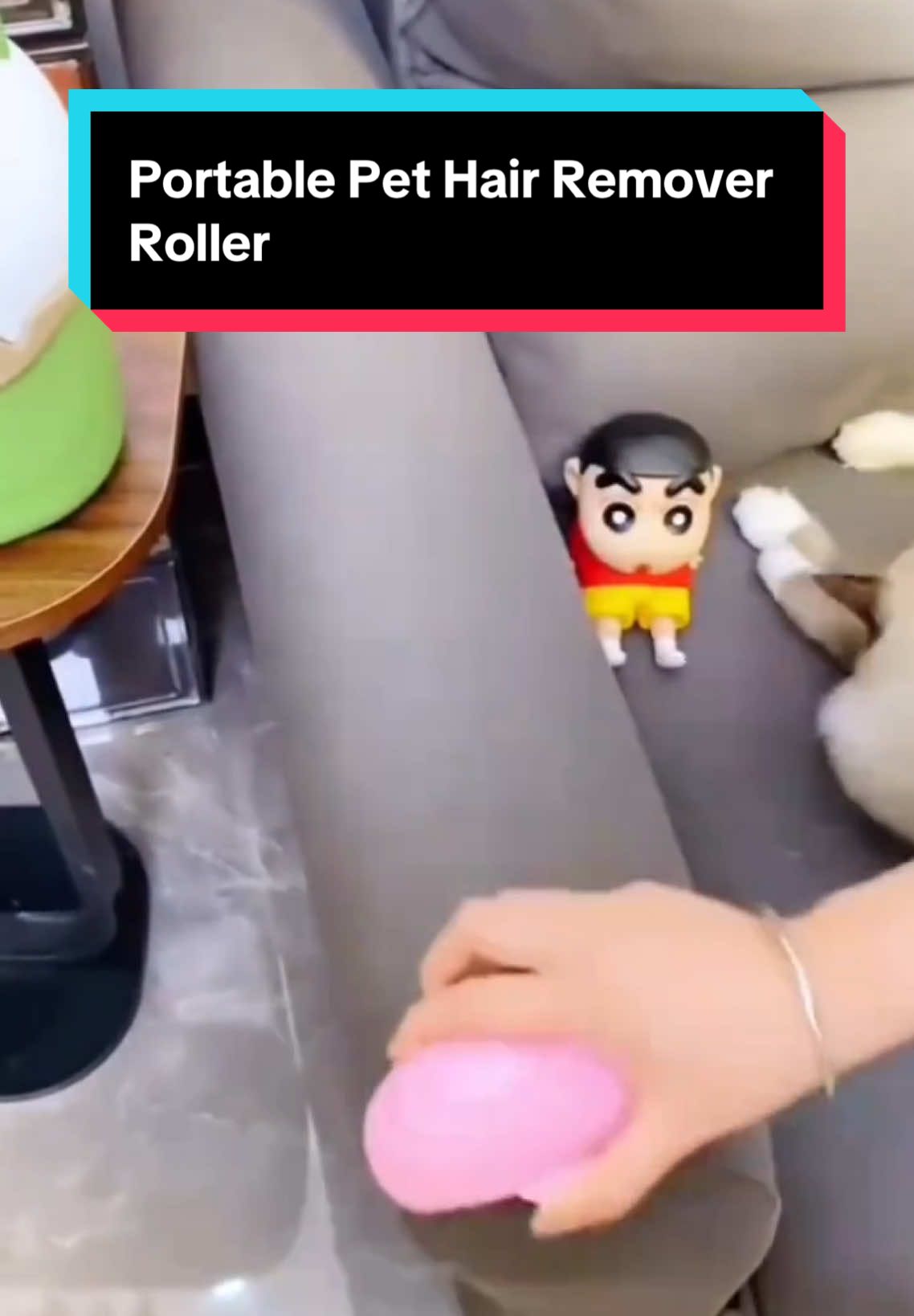 Portable Pet Hair Remover Roller #roller #fyp #foryou 