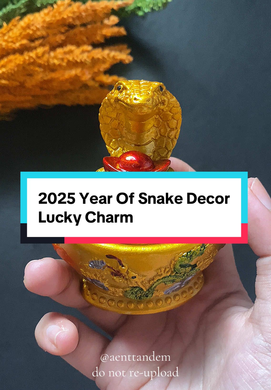 2025 Year Of Snake Decor Lucky Charm #wealth #yearofsnake #luckycharm #pampaswerte #aenttandem 