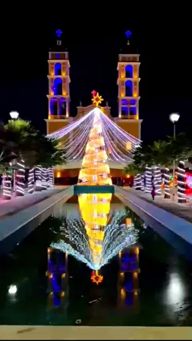#navidad #Palmarito