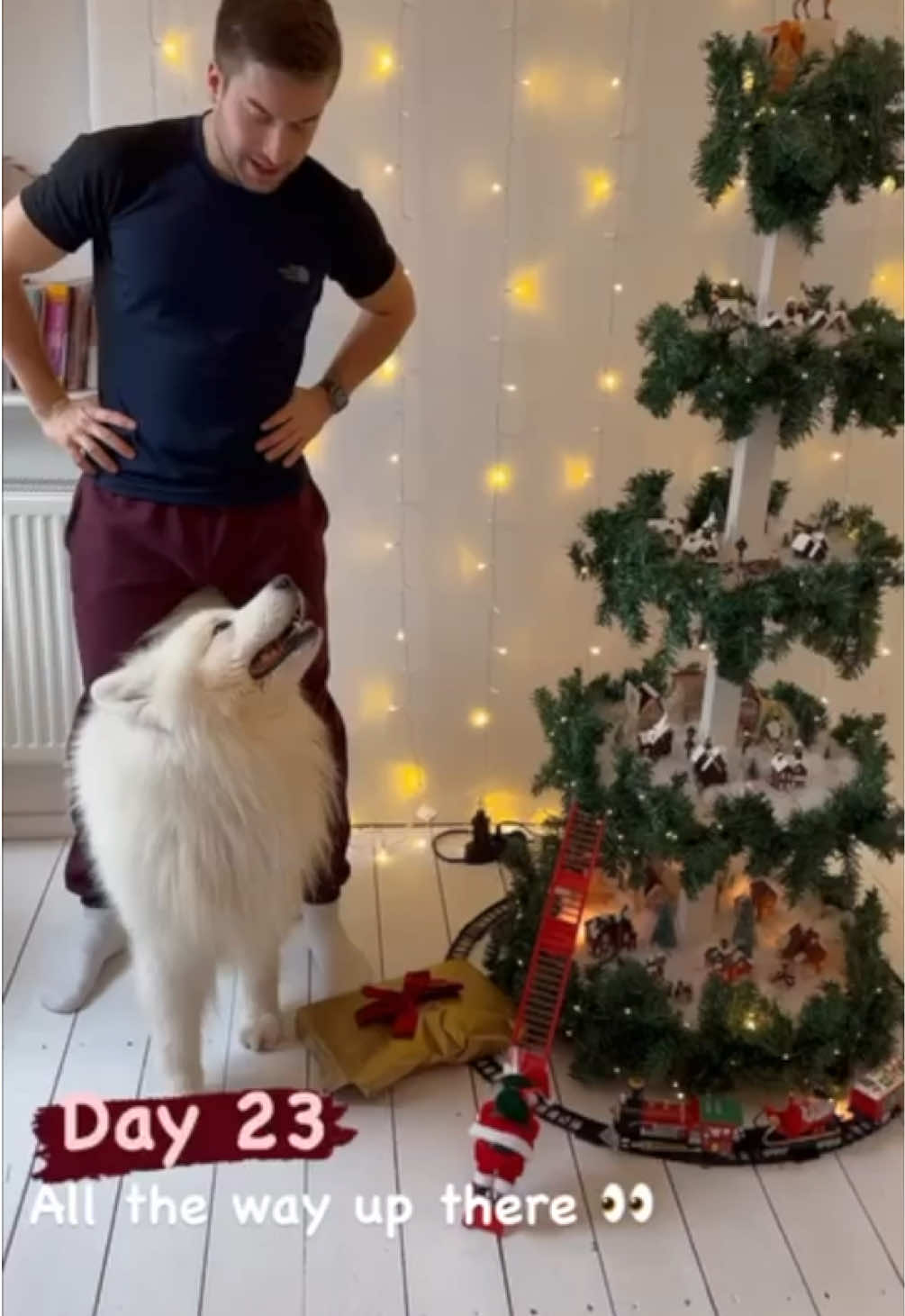 Day 23 of my dog‘s advent calendar 😍❤️ #adventcalendar #dog #samoyed #christmas 