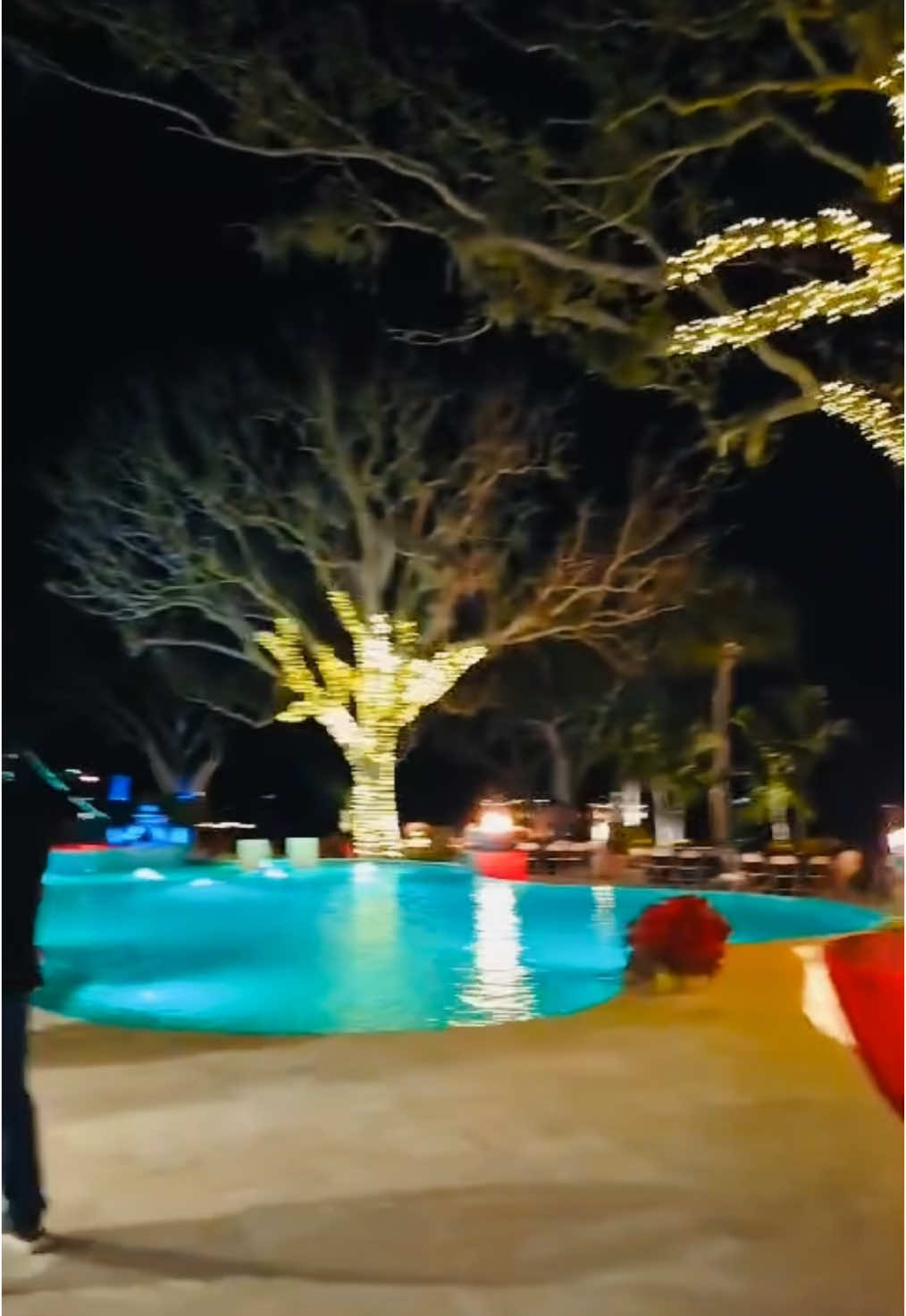 #party#christmas#wow #😍#viralvideo#fypage#foodtiktok #niceplace#❤️❤️ #florida 