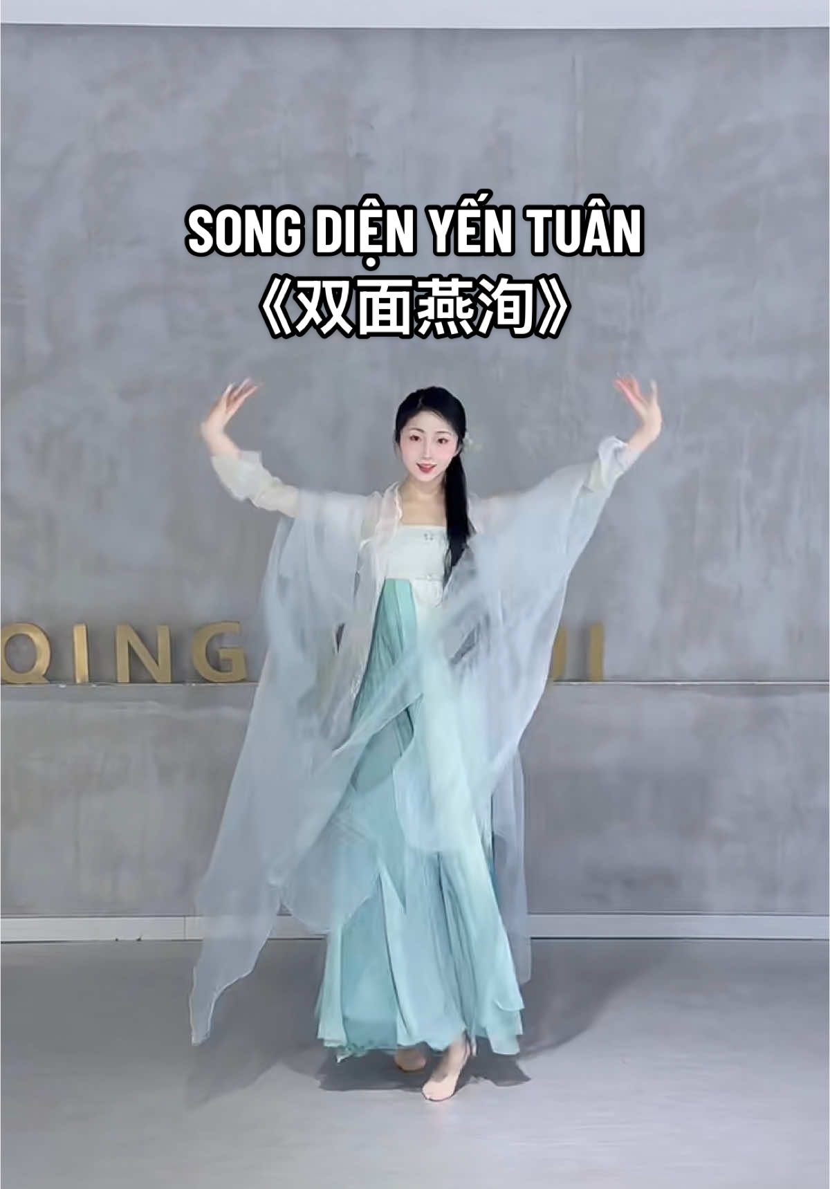 Song Diện Yến Tuân - 《双面燕洵》