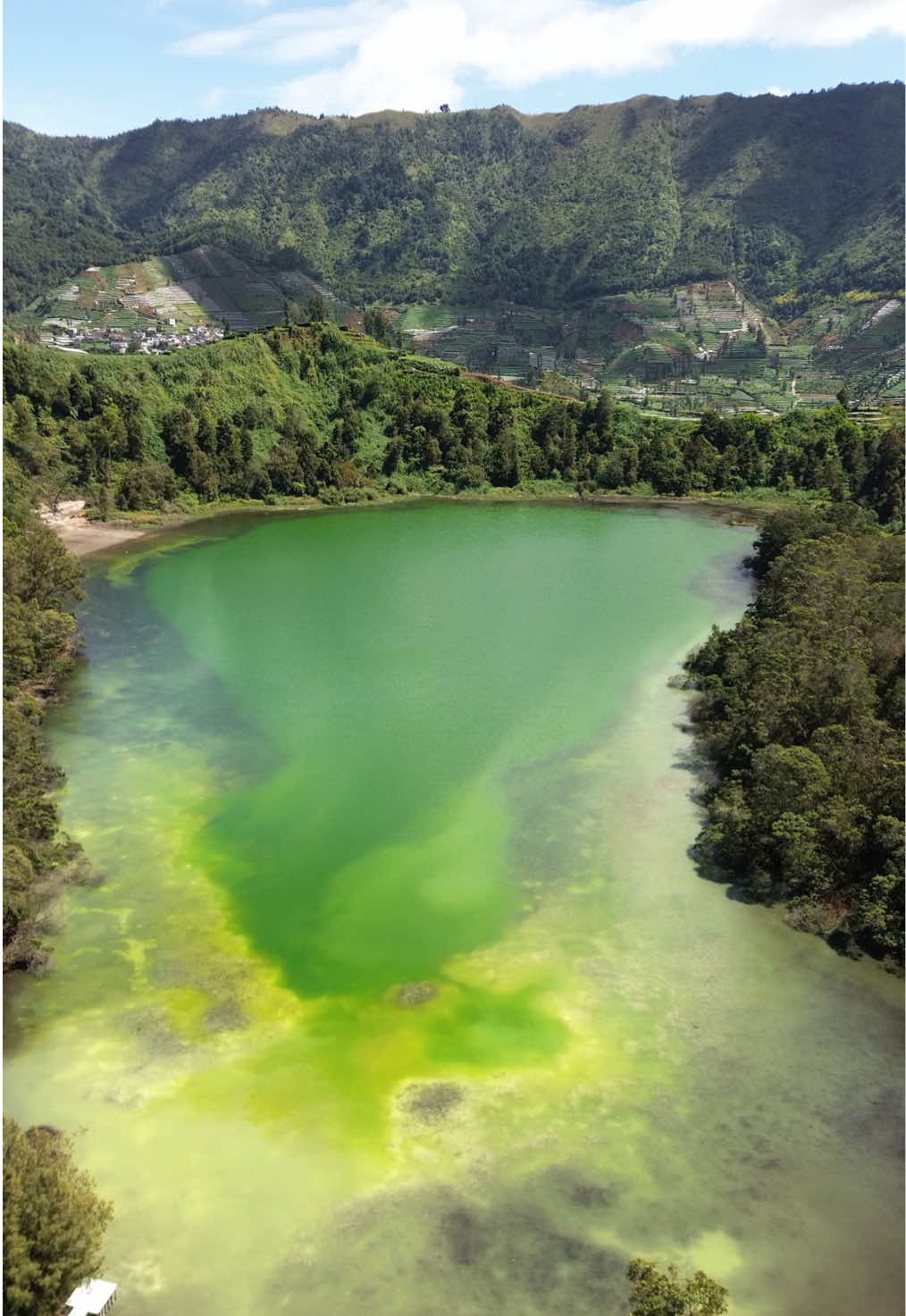 Pesona tealaga warna di bulan Desember 2024 📌telaga warna  #telaga #gunung #gunugperahu #dieng #viralvideo #viralvideo #jeeplife #jeep #diengbanjarnegara #masukberanda #telagawarna #diengwonosobo #diengbanjarnegara #fypp #virall #suwis #trip 