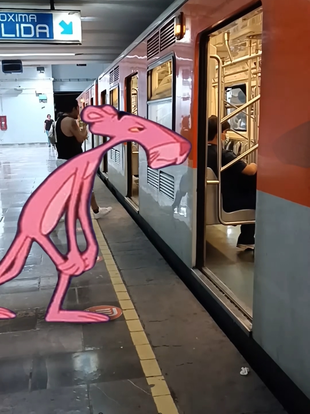 Un día cualquiera en el metro... ig: jose_enrique_gr ✨ #metrocdmx #pinkpanther #ae 