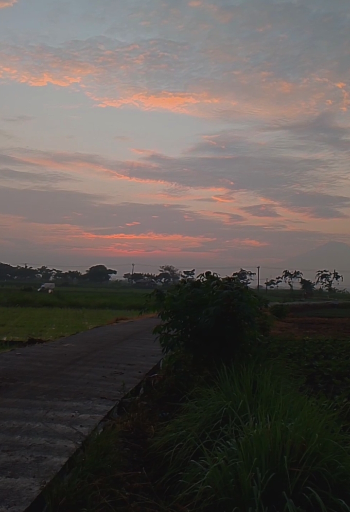 sunrise😇 #sunrise #sawah #ngaji #khmuammarza #brebes24jam #larangan #fyp #xyzbca #trending #storywa #storytime #fypシ 