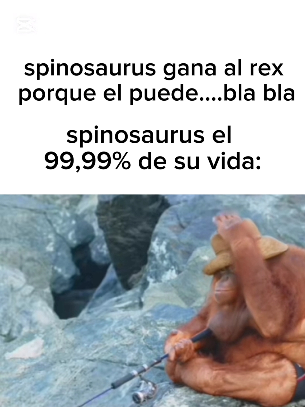 rex>>teropodos(esto no es mi opinión es una realidad)#paleontology #paleontologia #dinosaur #paleo #tyrannosaurus #spinosaurus #rex #dinosaurios #realidades 