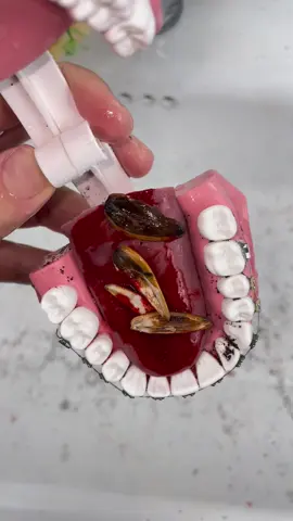 My family and I use it every day #TikTokMadeMeBuyIt #us #foryou #fyp#teeth #tooth #dentist #teethcleaning #teethwhitening #teethcare #toothache #teethtok #waterflosser #goodthing #homegadgets #homehacks #lifehacks #viral #viralvideo #trend #trending #spotlight #spotlightfinds #TikTokMadeMeBuyIt #TikTokShop #TikTokfinds #tiktokmusthaves #tiktoknews #amazonfinds #amazonmushaves #los Angeles 