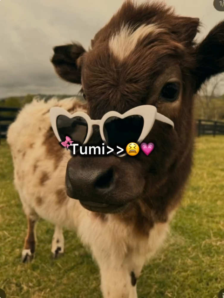 Tumi>>🌚🎀  #foryou #foryoupage #views #vairal #bdtiktokofficial🇧🇩 