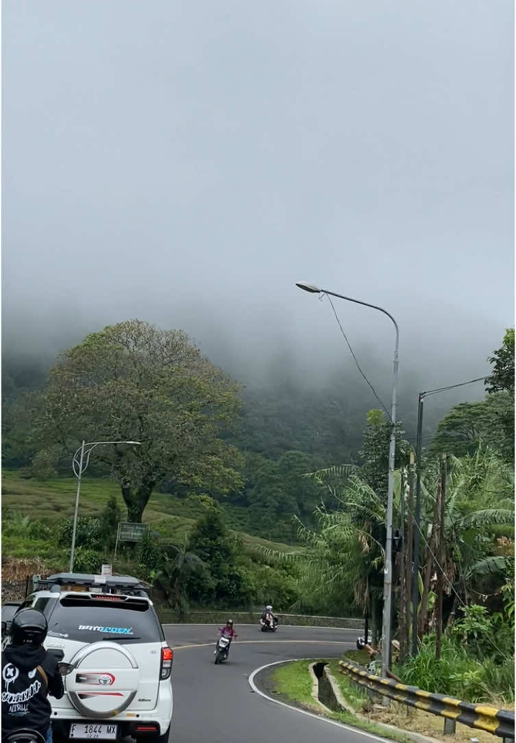 gatau knp lebih suka ke bogor naik motor karna lebih berasa aja vibes dingin nya 🥶🌲🩵