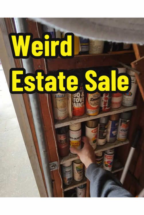 Weird Estate Sale #reseller #resellingcommunity #winecountryretro #estatesale #estatesalefinds #aandw #snoopy #peanuts #spraypaint #vintagehats #krylon #rustoleum #vintagechristmas #vintagetoys #PremiereRush 