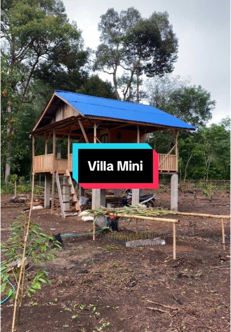 Villa Mini Di Kebun Mini Masih On Progresss ⛑️#kebundurian #petanimuda #kebunmini #petaniindonesia🇮🇩🇮🇩🇮🇩🌿🌿 
