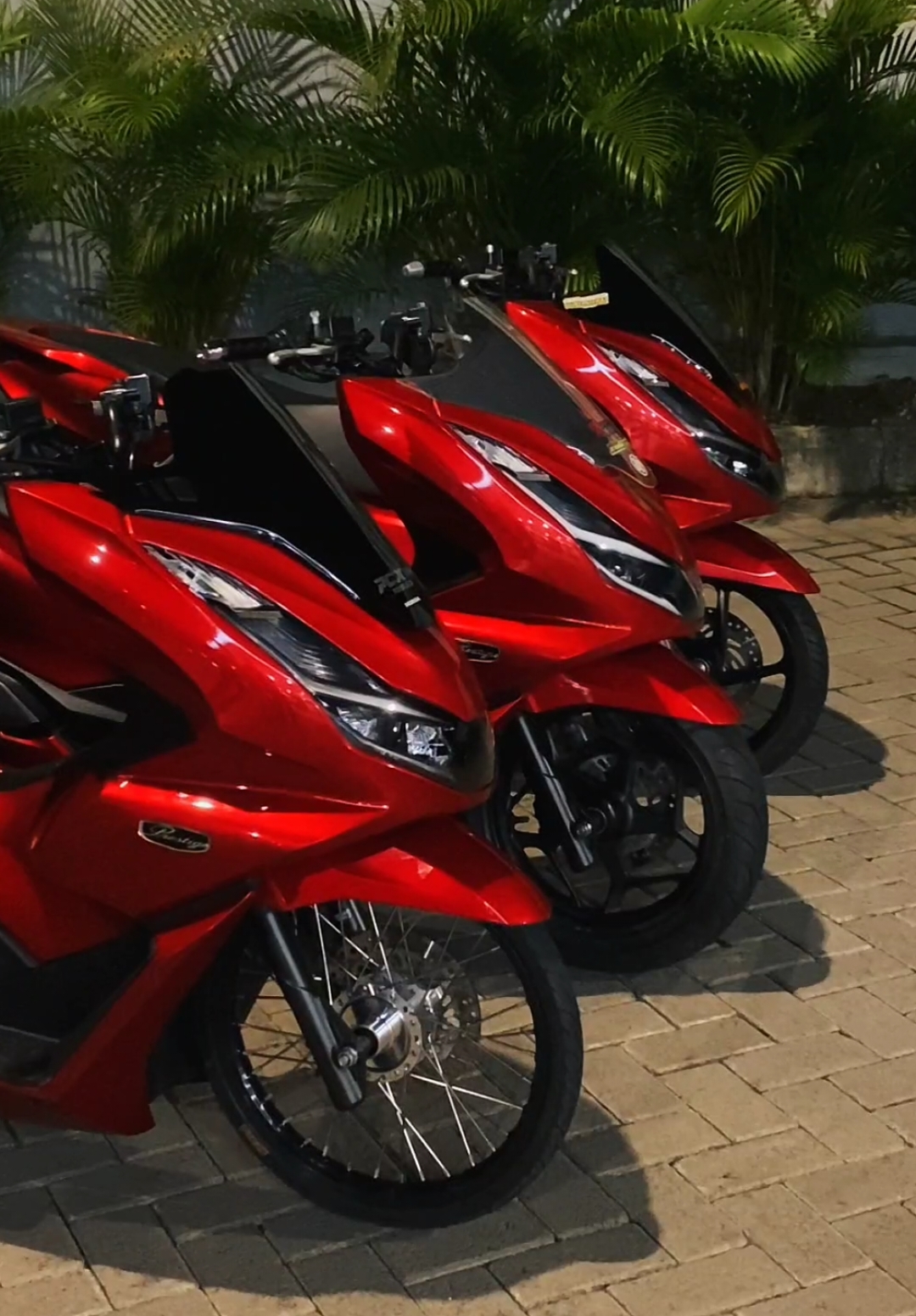 🫀X3 🗿#damsbeluga_ #pcx2024 #pcx160ล้อ17แต่งสวย #pcxpropper #pcxindonesia @redflag_ @Si Mercan💦 